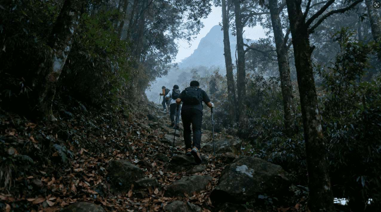 小火箭加速器无法访问外网的解决方法探索